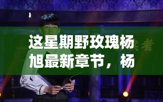 本周杨旭的野玫瑰日常，温馨篇章的新章节更新