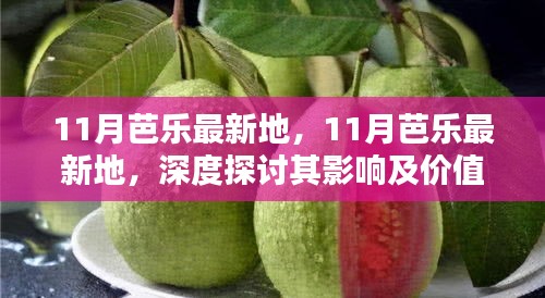 深度探讨，11月芭乐最新动态及其影响与价值