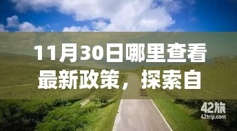 11月30日启程探索之旅，最新政策解读与自然美景的寻觅之旅