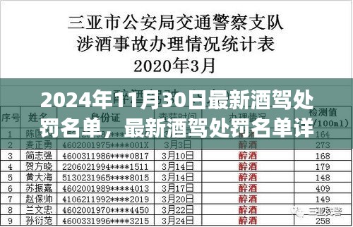 2024年最新酒驾处罚名单详解及应对指南，初学者与进阶用户必读