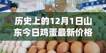 今日山东鸡蛋价格解析，历史价格回顾与市场逻辑探讨