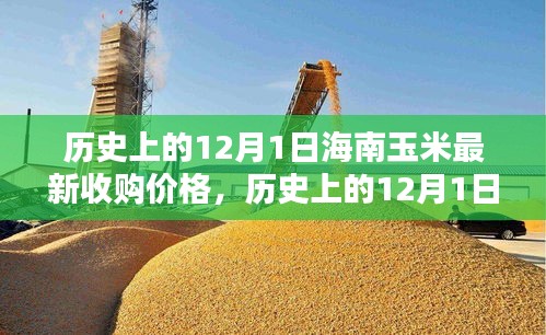 历史上的12月1日海南玉米最新收购价格及其影响深度解析