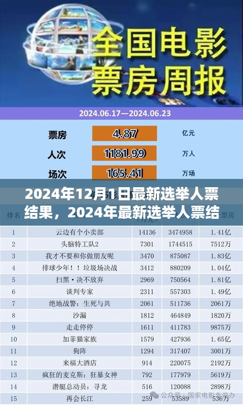 2024年选举人票结果揭晓，投票流程与结果查询指南（全解析）