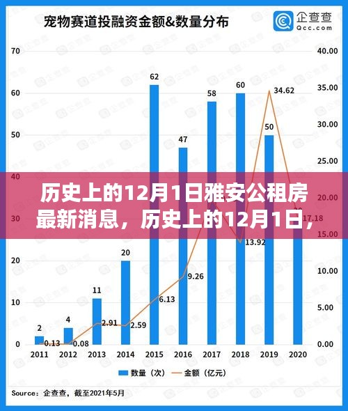 雅安公租房最新消息全解析，历史上的12月1日动态回顾与最新进展解析