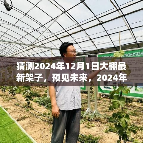 2024年12月 第438页