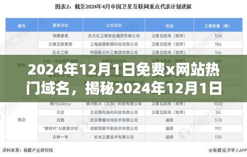 揭秘热门免费网站域名，探索未知网络世界小红书指南（2024年12月版）