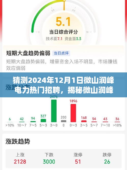 揭秘微山润峰电力未来招聘趋势，热门职位展望与深度解读（2024年）