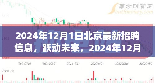 跃动未来，2024年12月1日北京最新招聘信息启航你的励志之旅