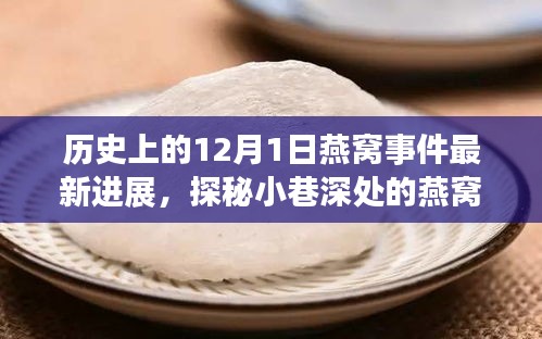 揭秘燕窝传奇，历史新篇，探寻燕窝事件最新进展的探秘之旅（12月1日）