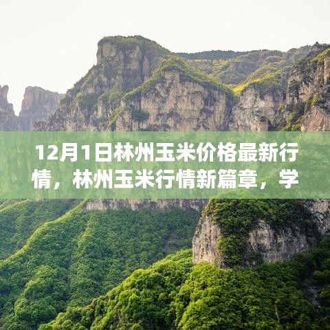 林州玉米最新行情，学习变化的力量，成就感的闪耀时刻