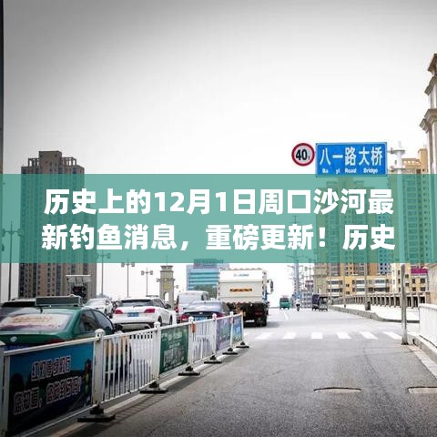 历史上的12月1日周口沙河钓鱼新动态，垂钓盛宴与鱼获满满的最新消息