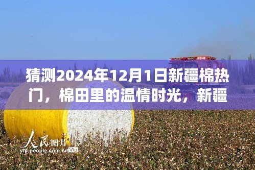 新疆棉温情时光，展望2024年棉田未来与我们的故事