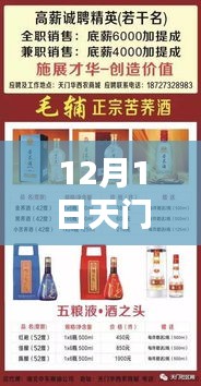 天门招工网最新招聘指南，从初学者到进阶用户的全流程应聘攻略（12月1日更新）