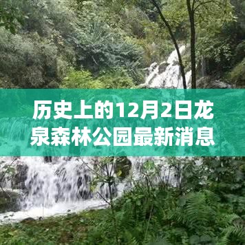 龙泉森林公园，探寻自然美景与内心宁静的和谐之旅（最新消息报道）