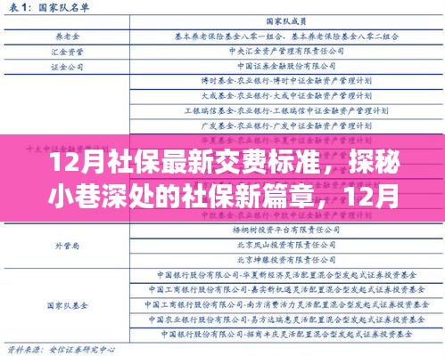 探秘社保新篇章，12月社保最新交费标准与特色小店观察