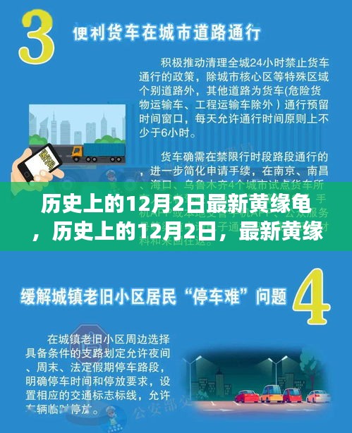 历史上的12月2日，最新黄缘龟事件的多维解读