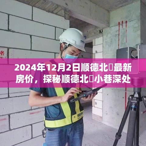 探秘顺德北滘小巷风情，最新房价与特色小店的奇遇之旅（2024年12月）