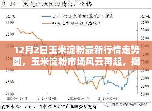 揭秘玉米淀粉市场风云，最新行情走势图深度解析（12月2日）