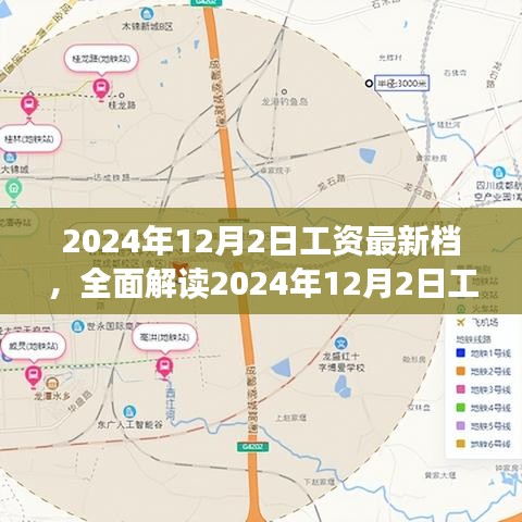 全面解读，2024年工资最新档特性、体验、竞品对比及用户群体分析报告