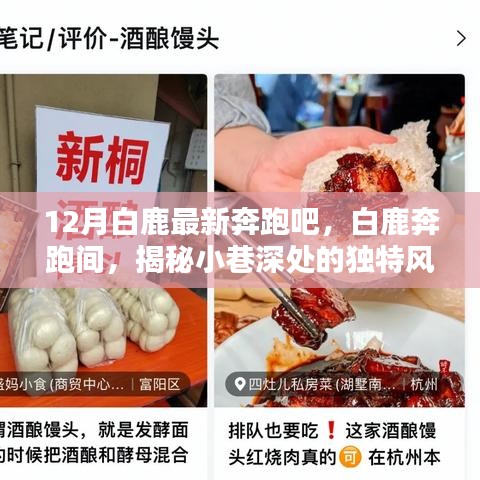 白鹿奔跑间揭秘，宝藏小店，小巷深处的独特风味