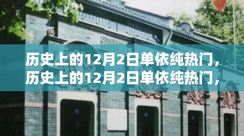 单依纯在历史上的十二月二日，全面回顾与深度解析