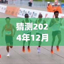 友情与陪伴的奇妙时光，预测好多鱼热门，展望2024年12月2日的温馨故事