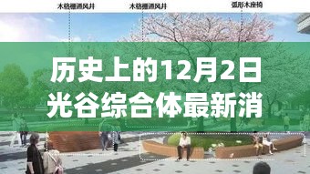 2024年12月 第377页