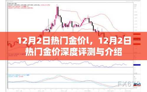 12月2日热门金价深度解析与介绍