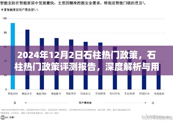 石柱热门政策深度解析与用户体验洞察报告（2024年视角）