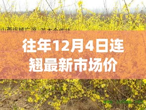 往年12月4日花卉市场洞察，获取连翘与Larch花语市场价格的新手指南与进阶秘籍