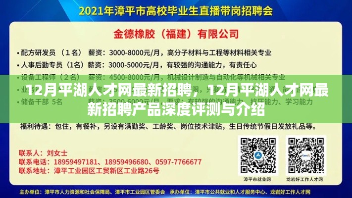 12月平湖人才网最新招聘及招聘产品深度评测介绍