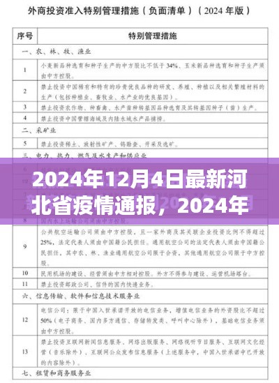 河北省最新疫情通报，全面防控与积极应对（2024年12月4日更新）