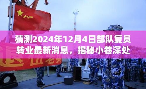 2024年12月 第337页