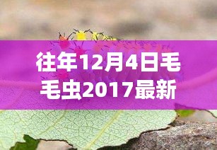 探秘岁月静好之巷，毛毛虫2017最新款时尚秘境