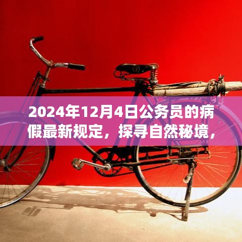 2024年12月 第333页