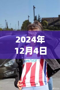 2024年12月 第258页