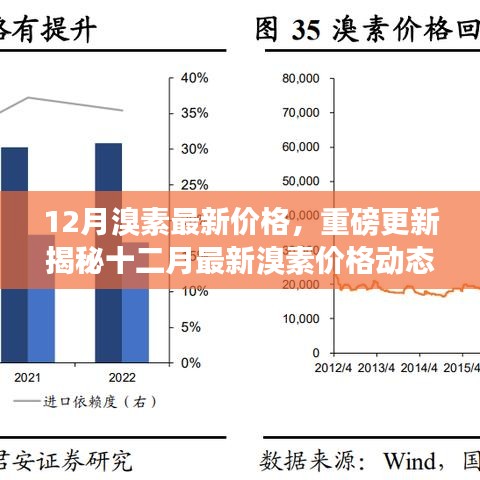 揭秘十二月最新溴素价格动态，洞悉市场动态趋势与价格走势