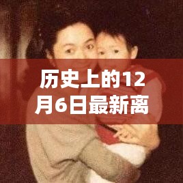 历史上的12月6日离婚证图片大全，最新离婚证一览