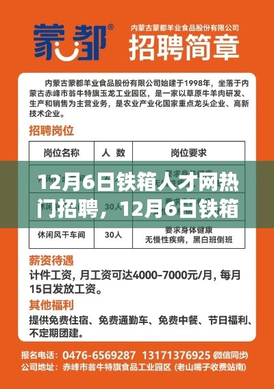 12月6日铁箱人才网热门招聘现象深度解析与观点阐述