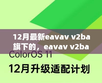 解读与反思，Eavav V2BA新动向揭秘