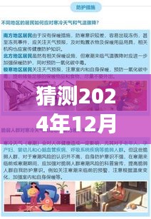 凤台小鱼网最新招聘2024年12月6日，职业之梦的启航与温馨求职之旅