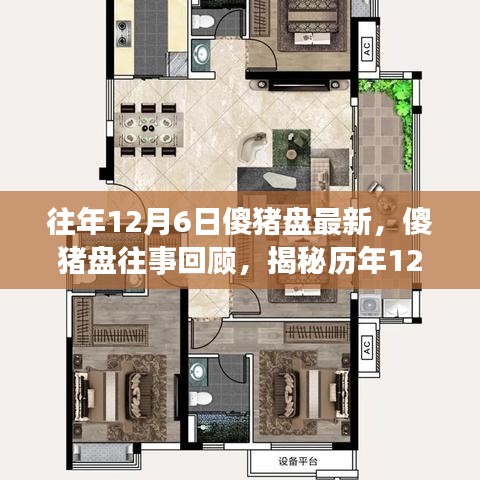 揭秘历年12月6日傻猪盘背后的故事与影响，回顾最新进展与往事回顾