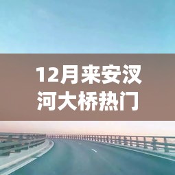 2024年12月 第235页