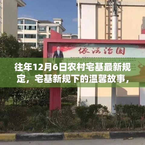 宅基新规下的温馨故事与情感纽带——农村宅基地最新规定回顾与趣事分享