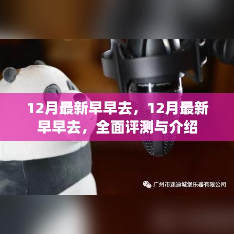 12月最新早早去，全面评测与详细介绍