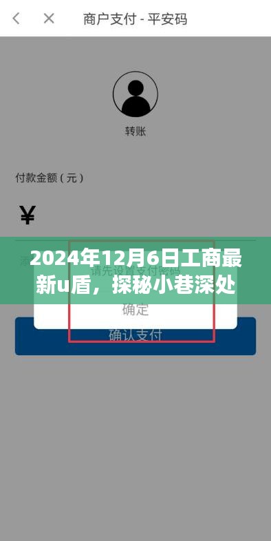 探秘宝藏小店，揭秘2024年工商最新U盾特色之旅