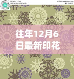 往年12月6日最新印花材料，激发潜能，成就未来变革之路