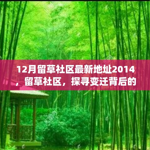 12月留草社区最新地址2014，留草社区，探寻变迁背后的真相与意义