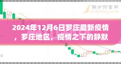 罗庄地区疫情静默与重生，最新背景分析（截至2024年12月6日）