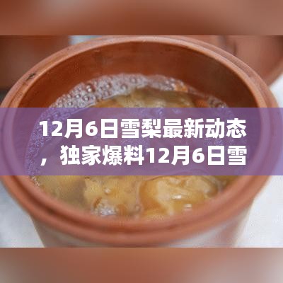 独家爆料，雪梨最新动态揭秘，惊喜连连不容错过！